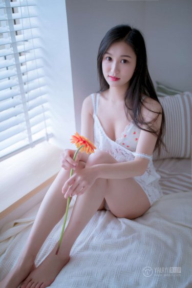 与鸭共舞在线观看